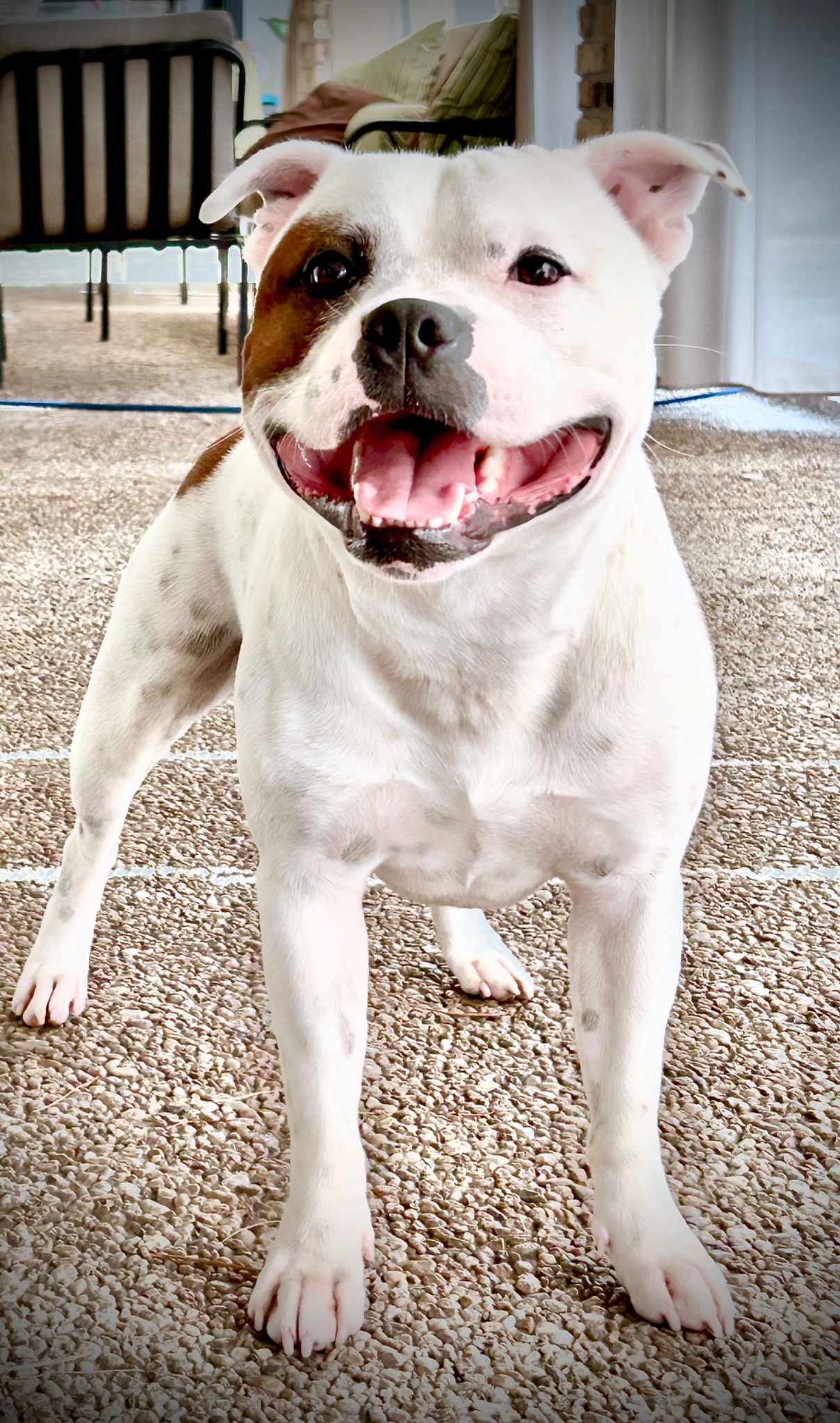 Rocky smiling